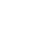 Proin auctor imperdiet  Icon