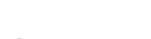 The Levin Firm Personal Injury Lawyers